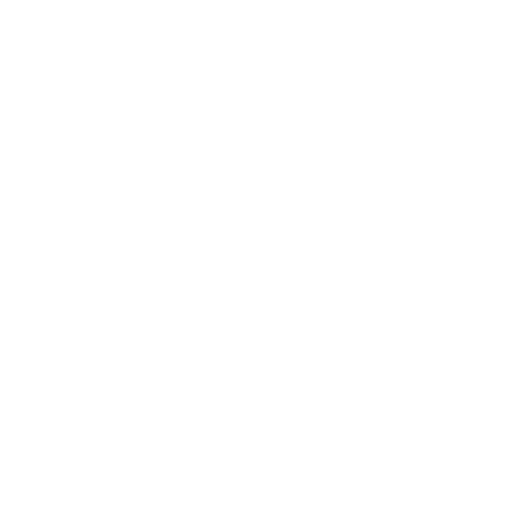 Fly Lanka